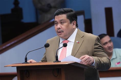 Senate bill proposing P100 minimum wage hike reaches Senate .